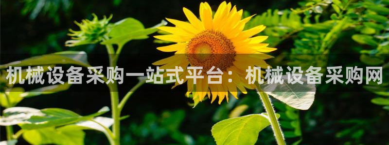 九游会黑钱吗
