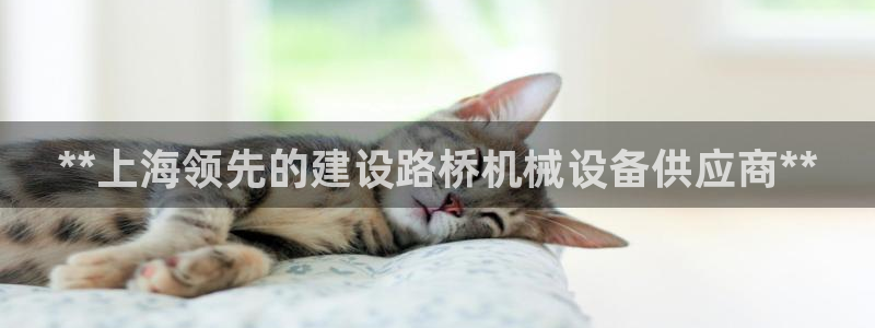 九游会这几天打不开了