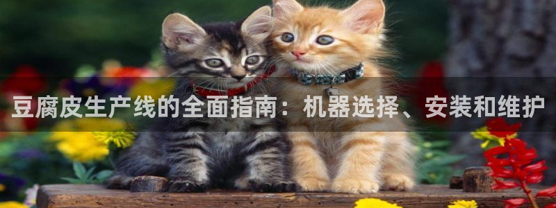 九游会 app下载