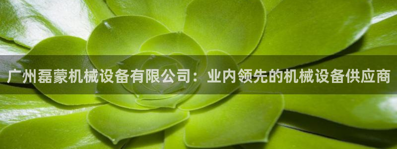 j9九游会首页入口