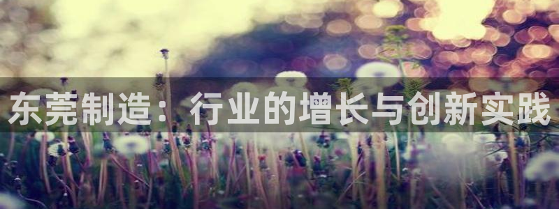 九游会usdt