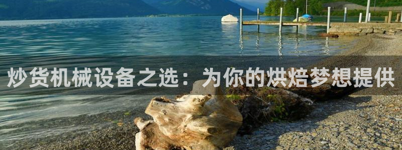 ag九游会