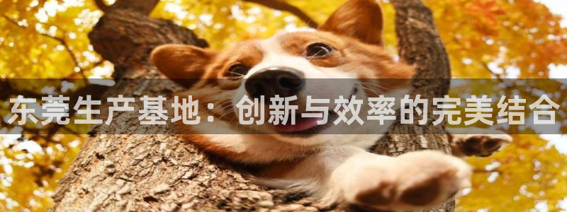 九游会官网页