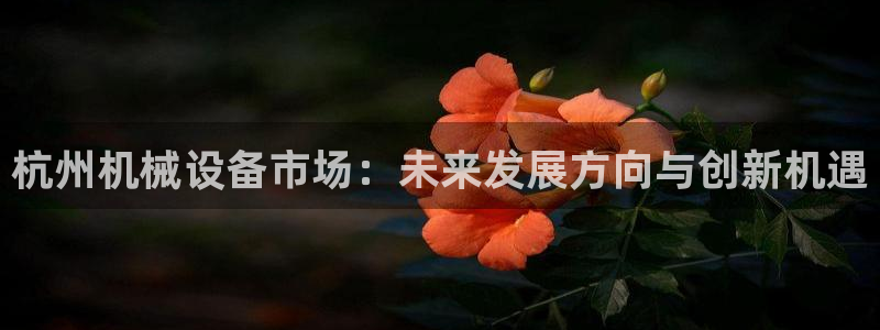 九游会j9官网网站