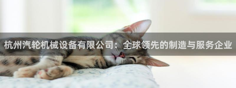 九游会agapp