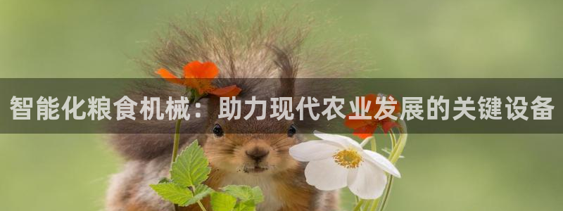 九游官网首页进入j9