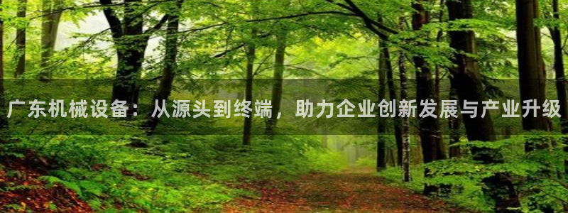 ag怎么变成九游会了