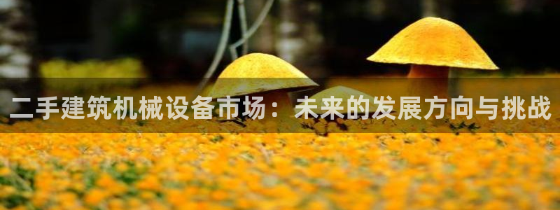 ag九游会老哥