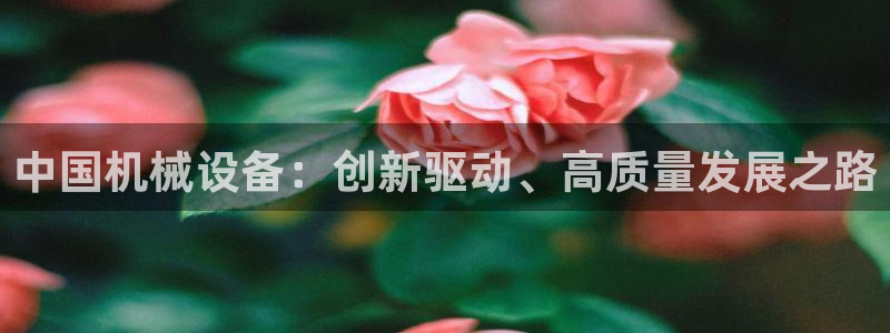 九游会ag官方平台