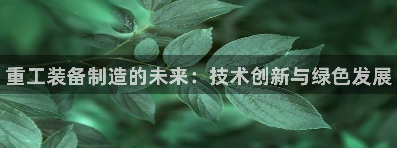 九游会进不去了：重工