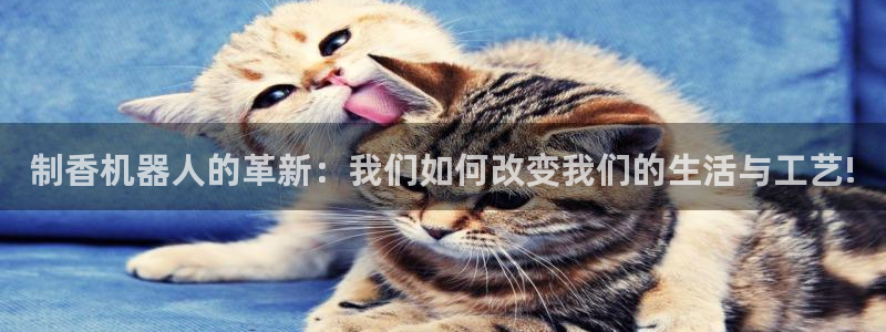 九游会app官方