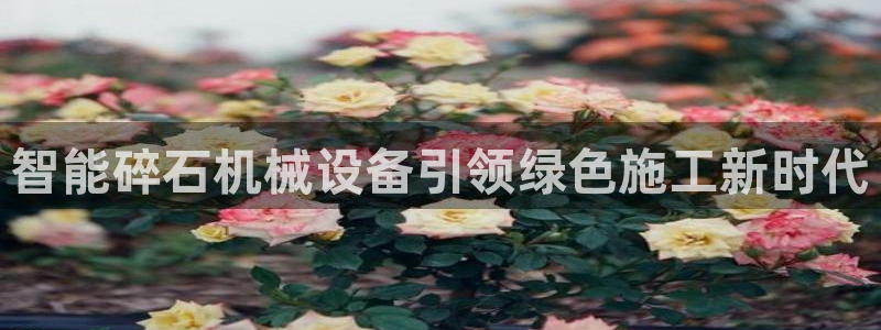 j9九游会体育