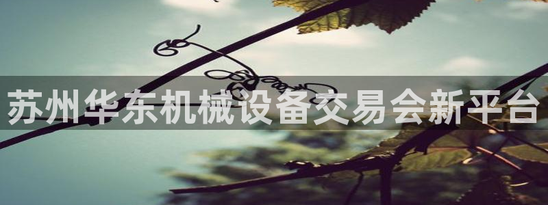 九游会官网站：苏州华