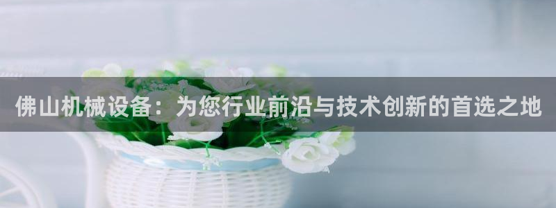 九游会 a g