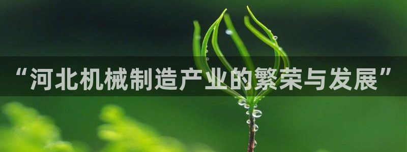 j9363九游会
